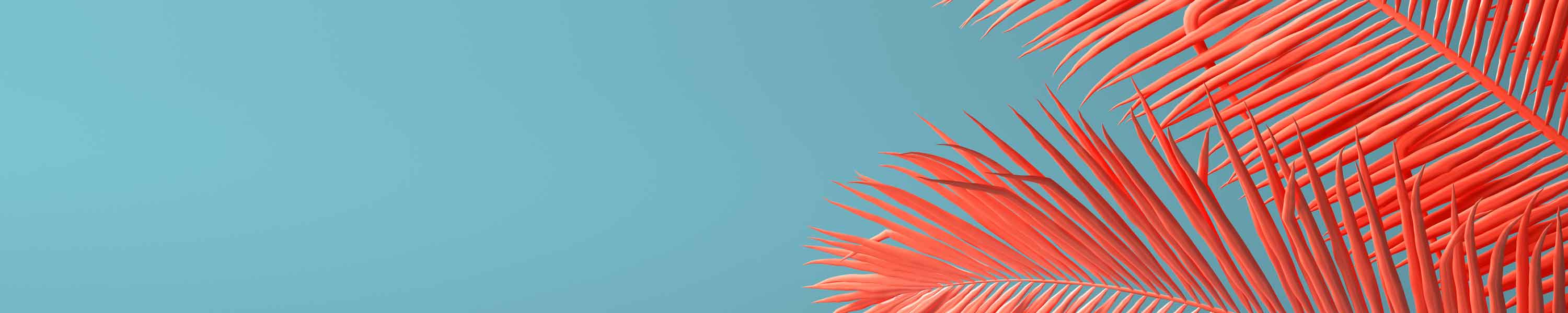 Mikrofon Vortrag Versammlung